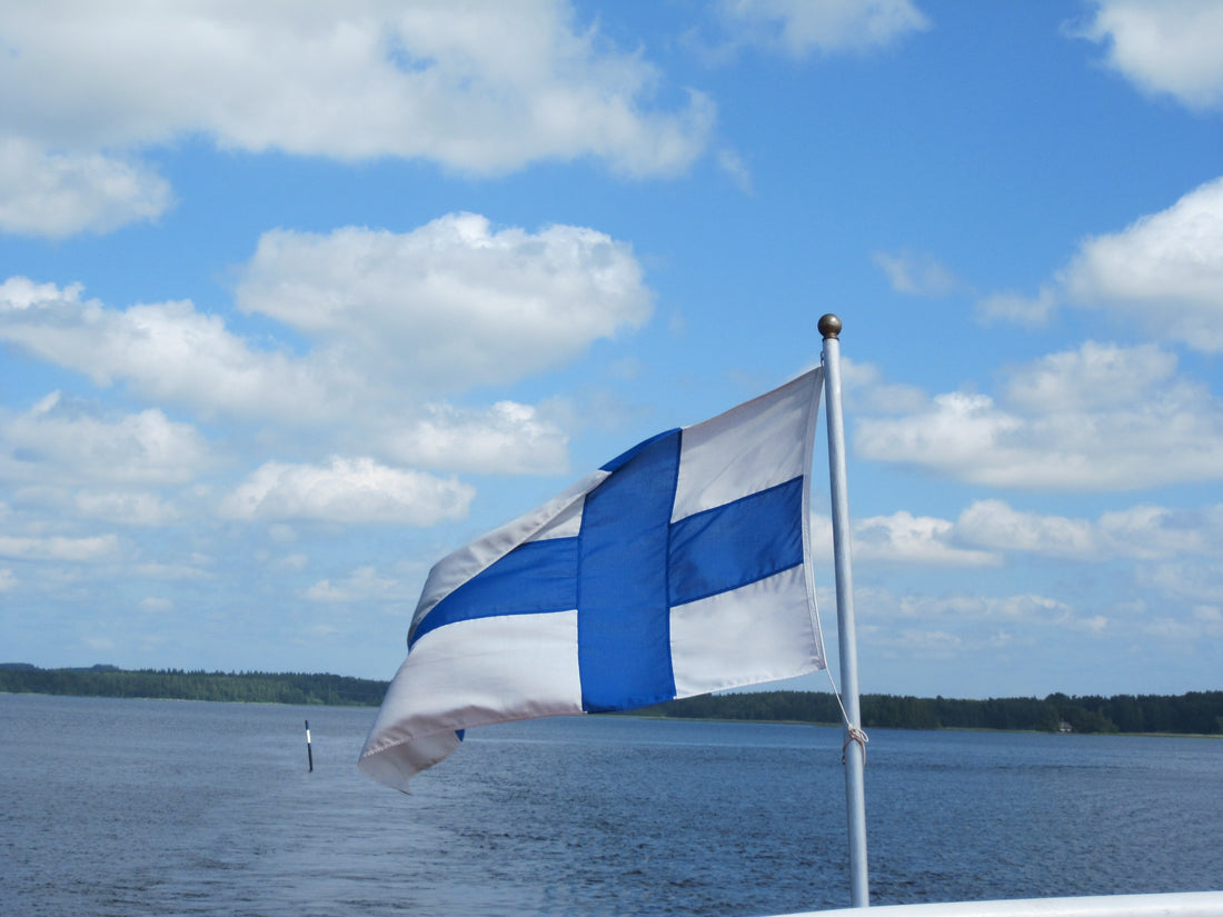 Bandiera finlandese su un pennone con un lago sullo sfondo.